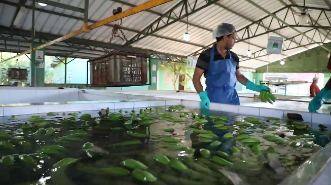 Hemos tomado una serie de medidas en apoyo al sector agropecuario