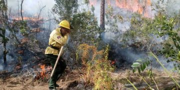 Medio Ambiente se prepara ante el inicio de la temporada alta de incendios forestales