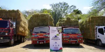Productores afectados por la sequía reciben ayuda del gobierno