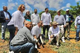 Gobierno pone en marcha plan de reforestación de seguridad nacional