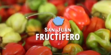 Plan San Juan